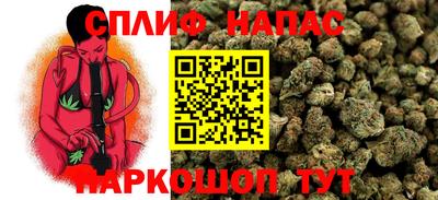 хмурый Аргун