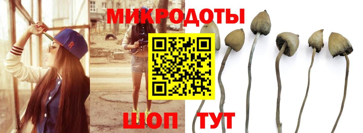 Губкинский  Псилоцибиновые грибы GOLDEN TEACHER  даркнет сайт  Вход с VPN 