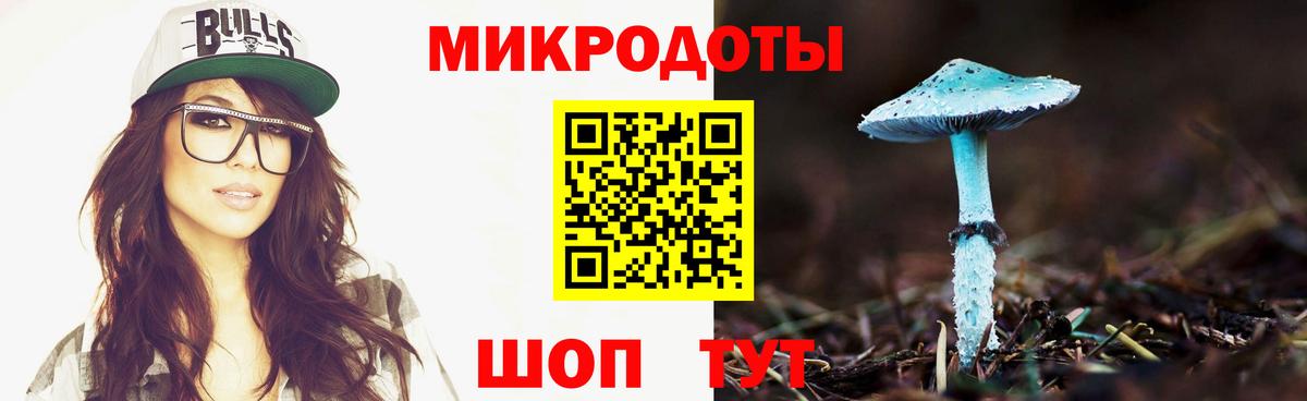 Псилоцибиновые грибы Cubensis Губкинский