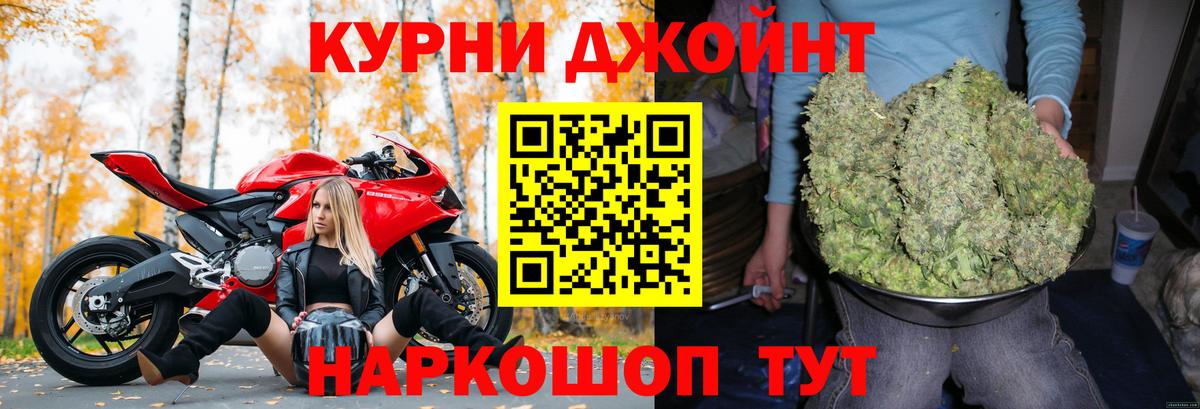 Конопля OG Kush Губкинский